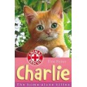 Animal Rescue:  Charlie the home-alone Kitten