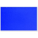 Parrot Info Board - Plastic Frame 600mm x 450mm - Royal Blue