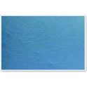 Parrot Info Board - Plastic Frame 600mm x 450mm - Sky Blue
