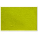 Parrot Info Board - Plastic Frame 600mm x 450mm - Yellow