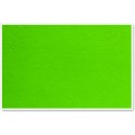 Parrot Info Board - Plastic Frame 600mm x 450mm - Lime Green